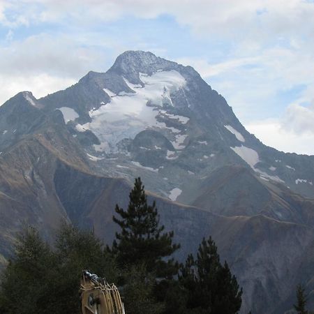 2 Alpes Les Bleuets Apartment เลส์เดอซาลป์ ภายนอก รูปภาพ